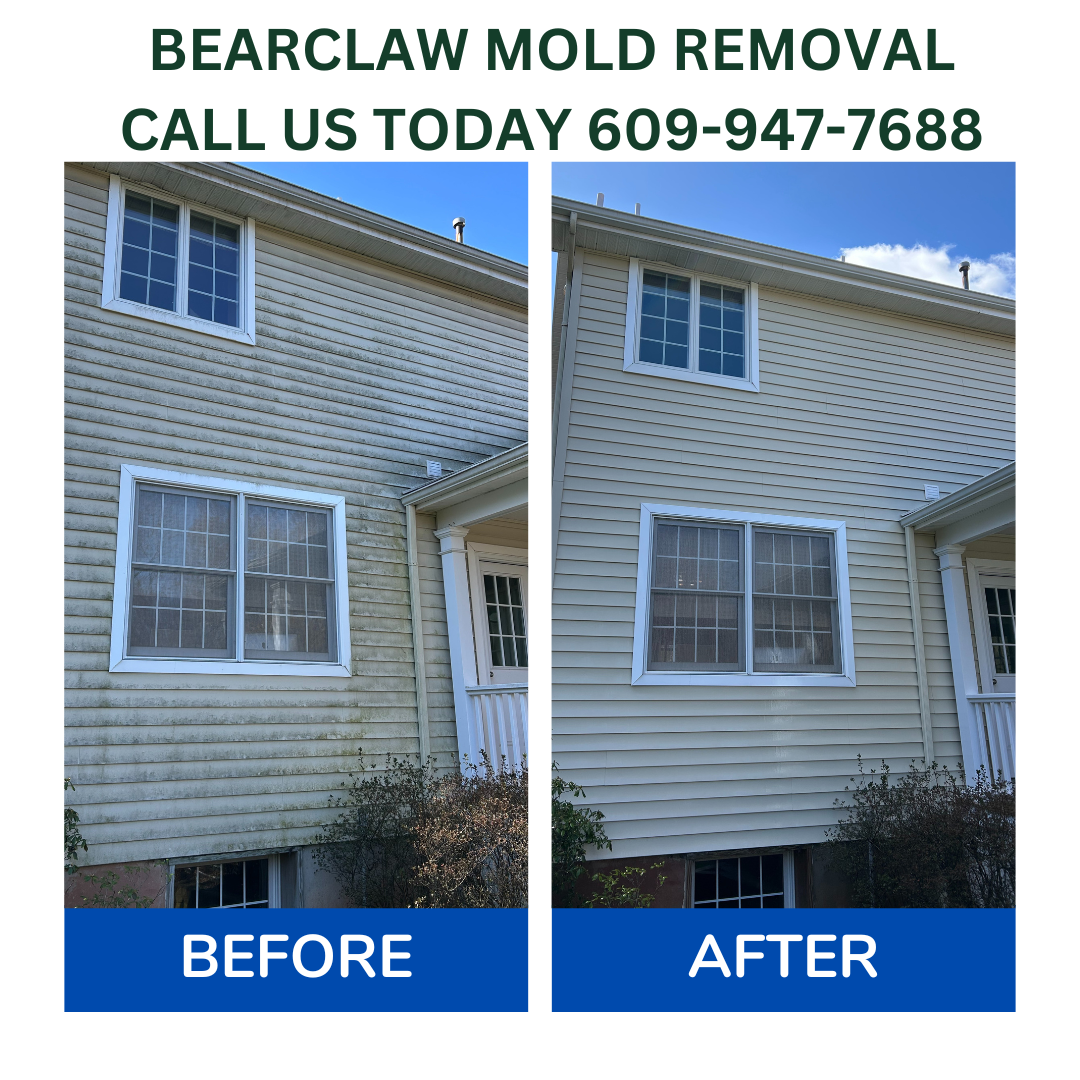 Restoring Curb Appeal: Expert Mold Removal and Power Washing in Pennington, NJ